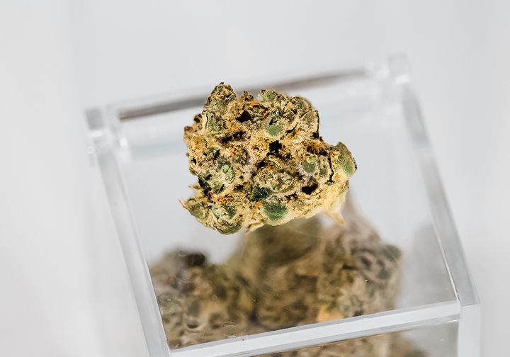 THC Content Is Not the Most Important Thing to Look for When Buying Weed